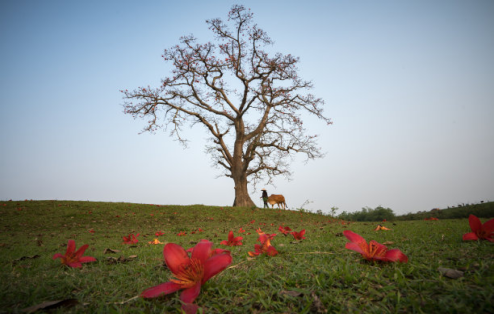 pg电子游戏(试玩)官方网站-APP下载