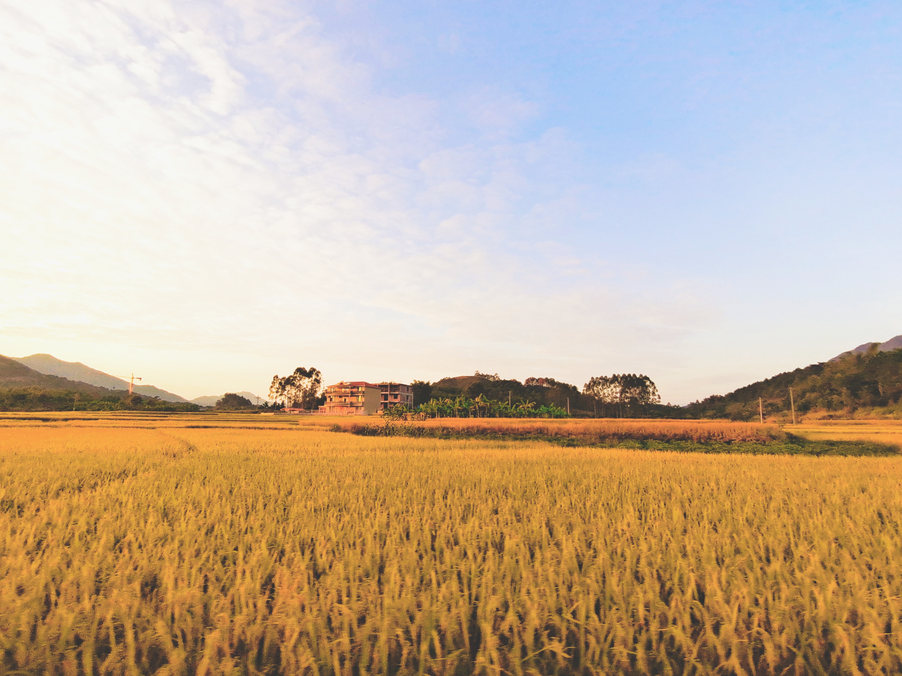 pg电子游戏(试玩)官方网站-APP下载