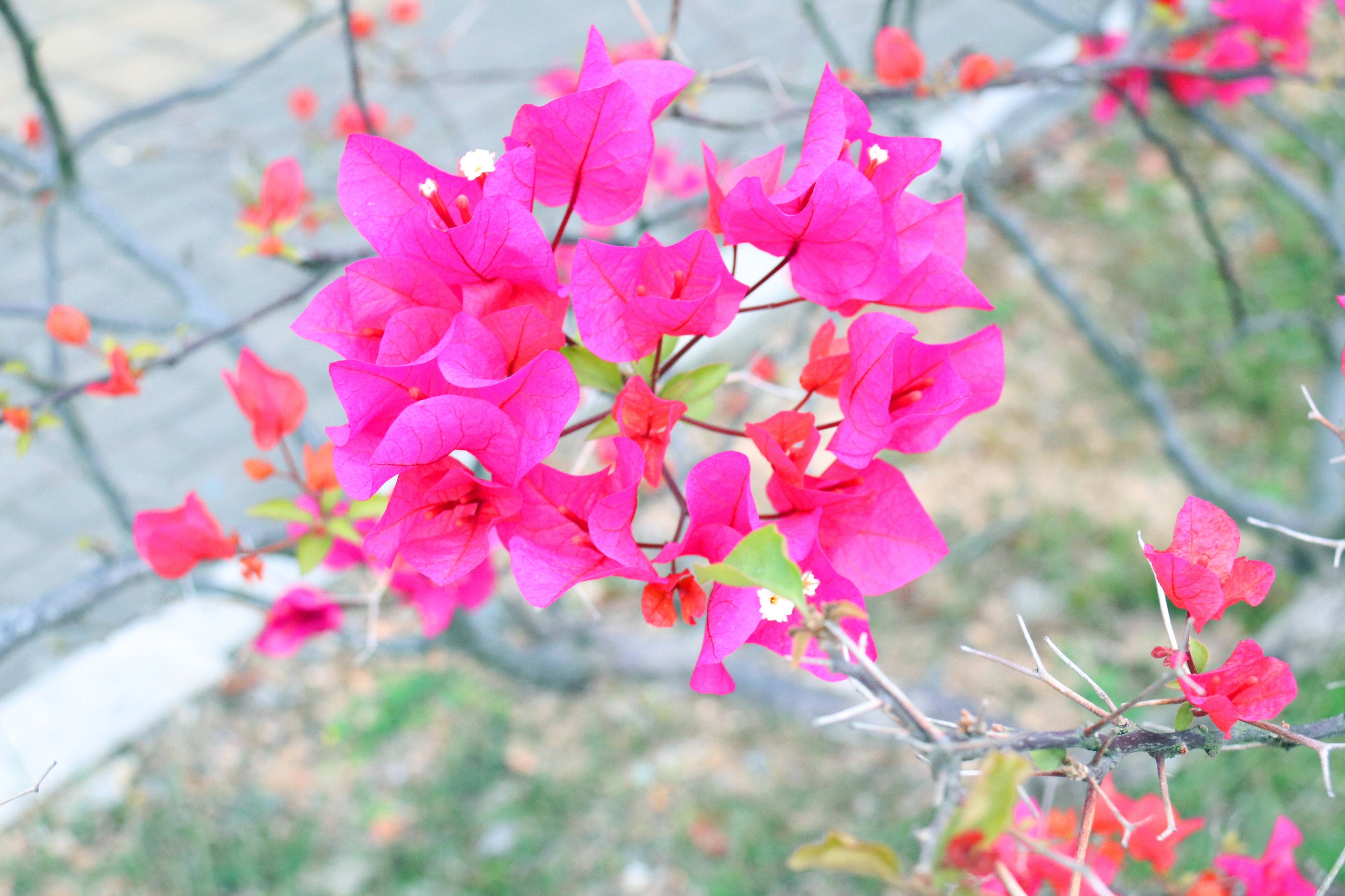 pg电子游戏(试玩)官方网站-APP下载