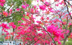 thumb_240_150_20210301105131557