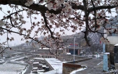 thumb_240_150_20220609033351838