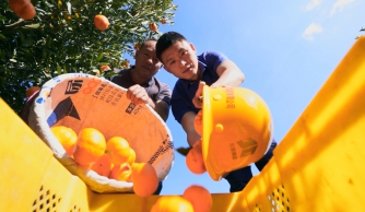 广西pg电子游戏“百年风华 交透风范”天下交通运输摄影大赛参赛作品——滇桂一家亲