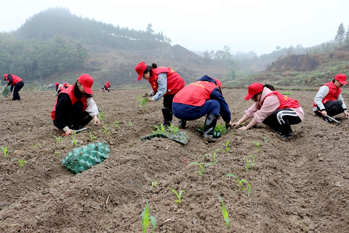 pg电子游戏(试玩)官方网站-APP下载