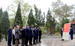 thumb_240_150_20230418053945642