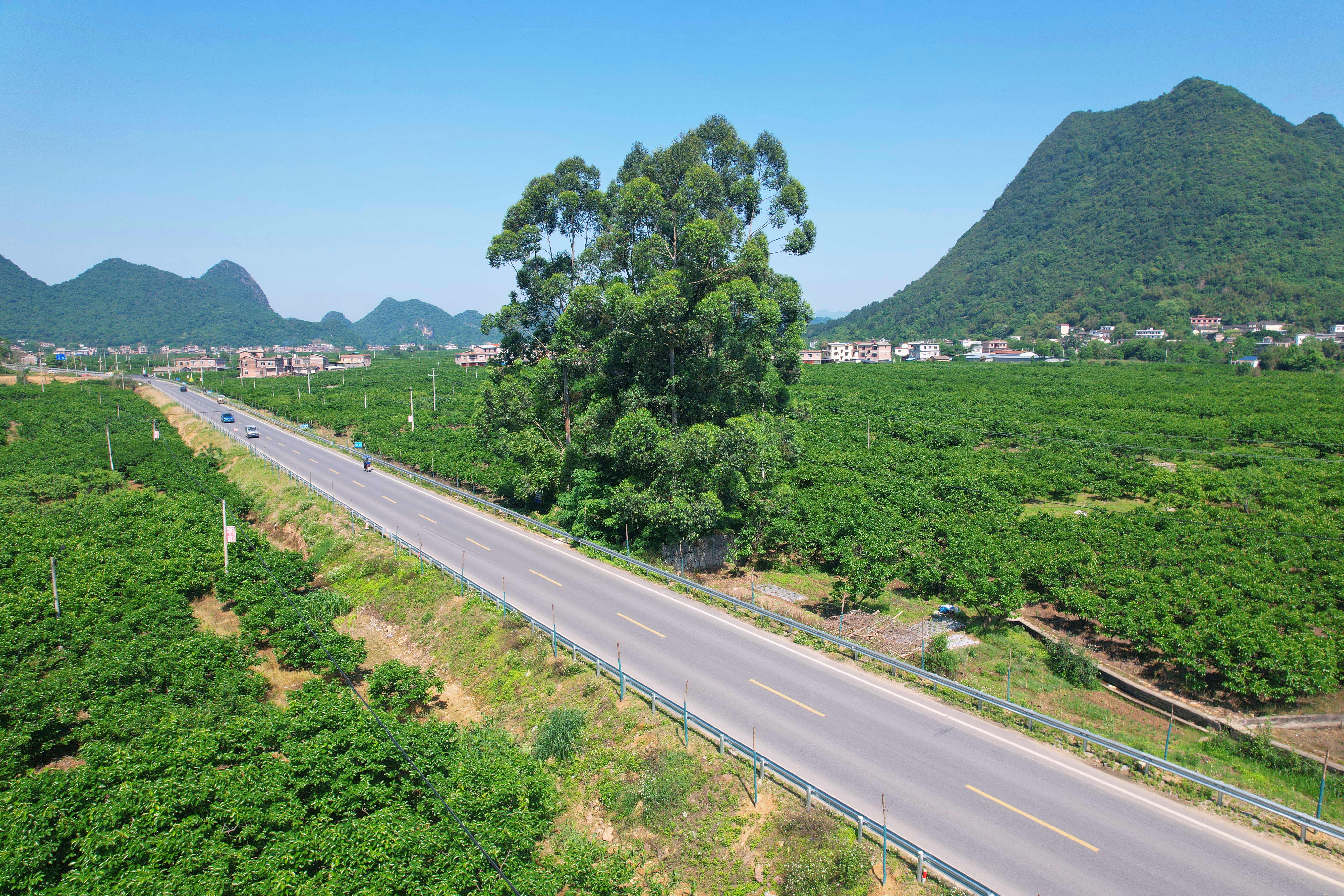 pg电子游戏(试玩)官方网站-APP下载