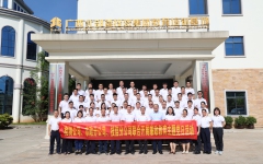 thumb_240_150_20230711072644522