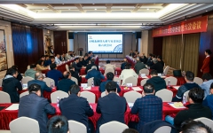 thumb_240_150_20231122114444650